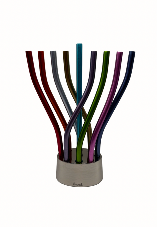 Hanoukia multicolore "Emanuel"